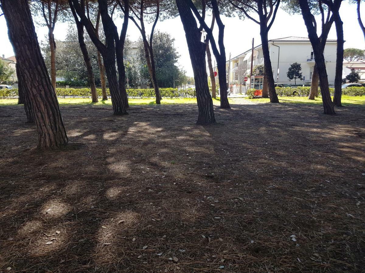 Il Don Minzoni 98 "Casa Vacanze" Lido di Camaiore Exterior foto